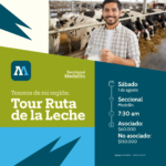 Tesosoros de mi region